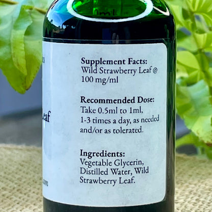 Blessed Berry Leaf Glycerite